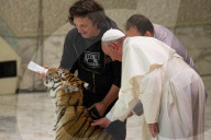 NEWS - Empfang für Zirkusleute: Tiger bekam Angst vor dem Papst