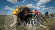 NEWS - Expedition 47 mit Astronaut Tim Peak in Kasachstan gelandet