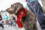 NEWS - Grossbritannien zwei Tage vor der Brexit-Abstimmung - Stimmung und Aktionen