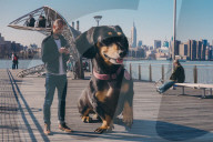 PEOPLE - Riesendackel erobert Brooklyn