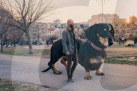 PEOPLE - Riesendackel erobert Brooklyn