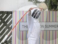 FEATURE - Imker fängt Bienenschwarm mitten in London