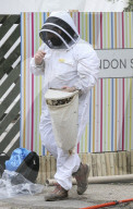FEATURE - Imker fängt Bienenschwarm mitten in London