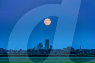 FEATURE -  Erdbeermond über England