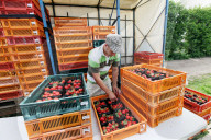POlnische Arbeiter in Grossbritannien