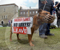 NEWS - Brexit - Reaktionen auf die Abstimmung (weitere Bilder)