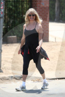 Goldie Hawn and Kurt Russell are in good spirits about their new home