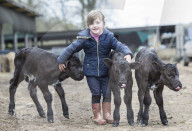 FEATURE - Waisen Kalb Drillinge geboren in England