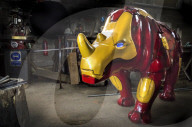 FEATURE - Superfan schafft 'Iron Man' Nashorn