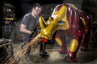 FEATURE - Superfan schafft 'Iron Man' Nashorn