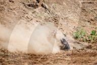 FEATURE - Gnus in der Masai Mara National Park