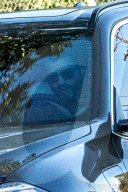 PEOPLE - Miley Cyrus holt ihren Hunden was zu essen