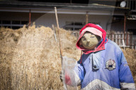 FEATURE - Diese japanische Stadt wird nur von Puppen bewohnt