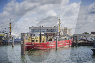 REPORTAGE - Niederlande: Start der Muschelsaison