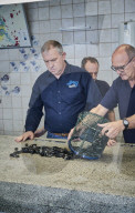 REPORTAGE - Niederlande: Start der Muschelsaison