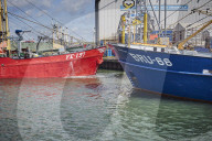 REPORTAGE - Niederlande: Start der Muschelsaison