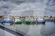 REPORTAGE - Niederlande: Start der Muschelsaison
