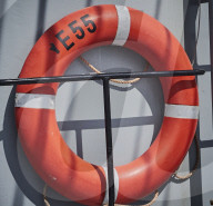 REPORTAGE - Niederlande: Start der Muschelsaison