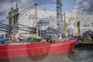 REPORTAGE - Niederlande: Start der Muschelsaison