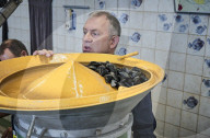 REPORTAGE - Niederlande: Start der Muschelsaison