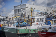 REPORTAGE - Niederlande: Start der Muschelsaison