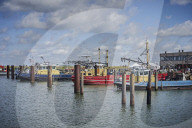 REPORTAGE - Niederlande: Start der Muschelsaison