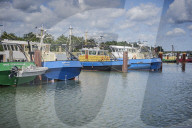 REPORTAGE - Niederlande: Start der Muschelsaison