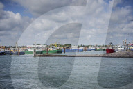 REPORTAGE - Niederlande: Start der Muschelsaison