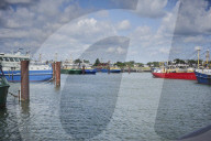 REPORTAGE - Niederlande: Start der Muschelsaison