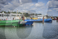 REPORTAGE - Niederlande: Start der Muschelsaison