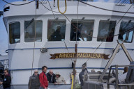 REPORTAGE - Niederlande: Start der Muschelsaison