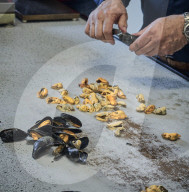 REPORTAGE - Niederlande: Start der Muschelsaison