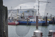 REPORTAGE - Niederlande: Start der Muschelsaison