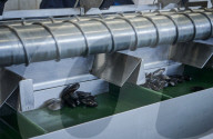 REPORTAGE - Niederlande: Start der Muschelsaison