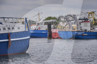 REPORTAGE - Niederlande: Start der Muschelsaison