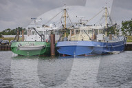 REPORTAGE - Niederlande: Start der Muschelsaison