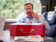 PORTRAIT - David Cameron 
