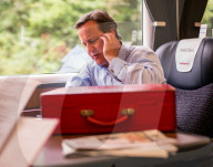 PORTRAIT - David Cameron 