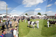 FEATURE - Tiere herausgeputzt für die Great Yorkshire Show in Harrogate