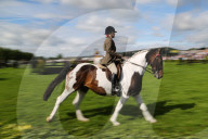 FEATURE - Tiere herausgeputzt für die Great Yorkshire Show in Harrogate