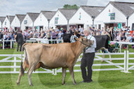 FEATURE - Tiere herausgeputzt für die Great Yorkshire Show in Harrogate