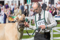 FEATURE - Tiere herausgeputzt für die Great Yorkshire Show in Harrogate