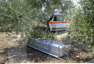 NEWS - Italien: Tote und Verletzte nach Zugkollision nahe Bari