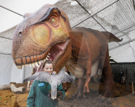 FEATURE - Ausstellung im Whipsnade Zoo