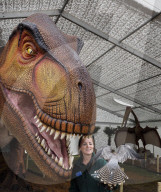 FEATURE - Ausstellung im Whipsnade Zoo