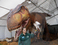 FEATURE - Ausstellung im Whipsnade Zoo