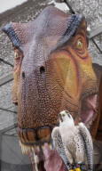FEATURE - Ausstellung im Whipsnade Zoo