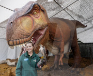 FEATURE - Ausstellung im Whipsnade Zoo