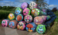 FEATURE - Heu-Ballen-Kunst in Nordirland