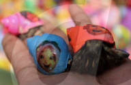 FEATURE - Bunte Schneckenhäuser